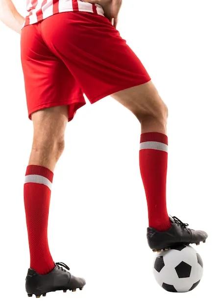 下载二维码与应用示意